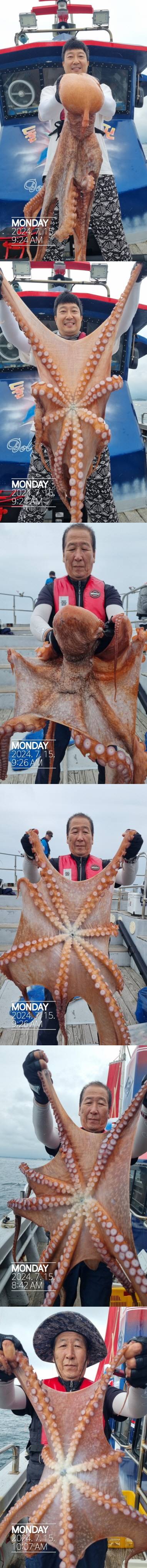 22인승 돌핀호 / 대왕문어 낚시 조황입니다